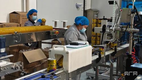 科技创新驱动产业升级 探索阜康市网络科技领域的双轮驱动绿色发展路径